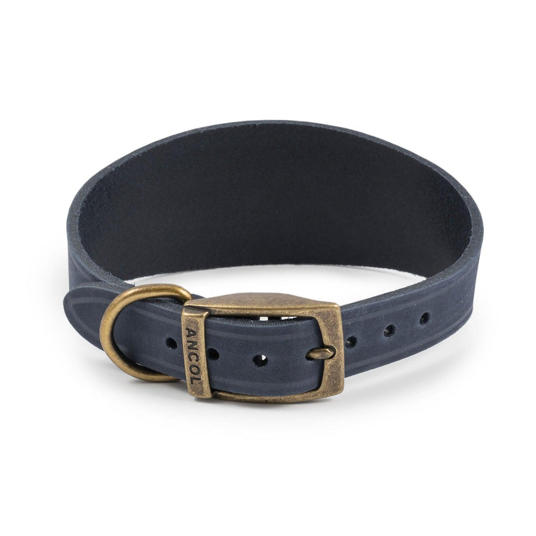 Ancol Timberwolf Hound Collar Blue 34cm - 43cm