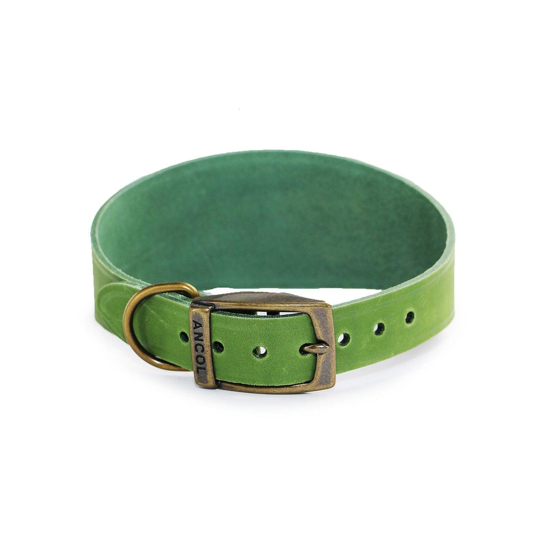 Ancol Timberwolf Hound Collar Green 34cm - 43cm