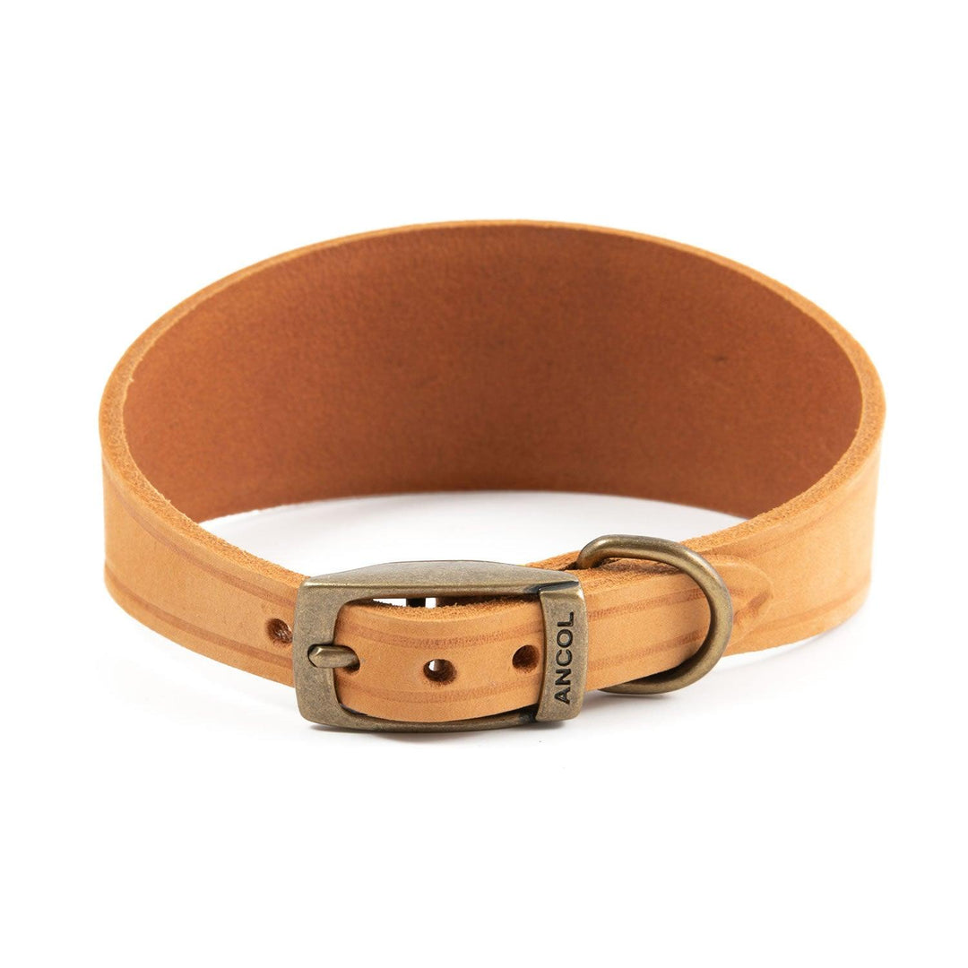 Ancol Timberwolf Hound Collar Mustard 34cm - 43cm