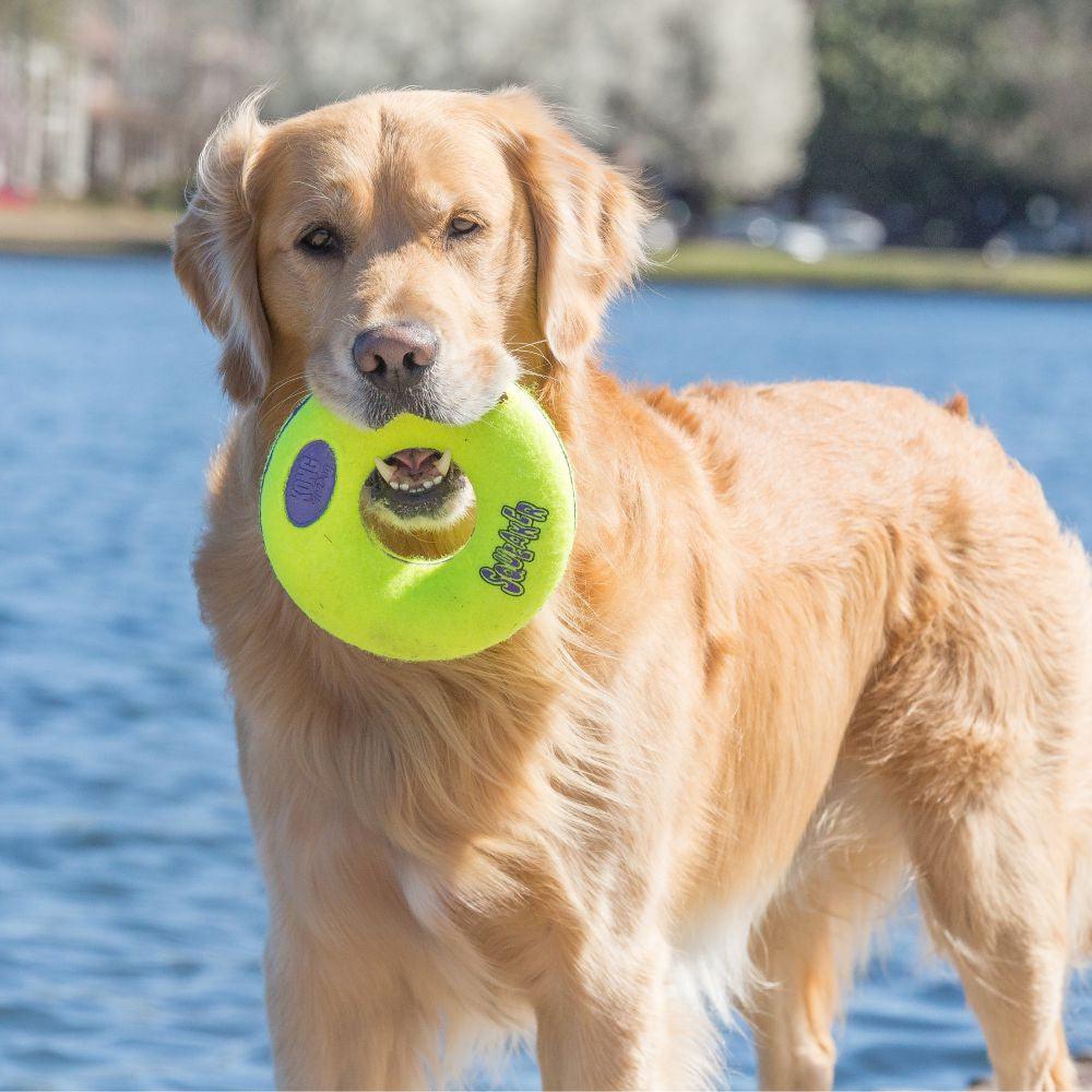 KONG AirDog Donut