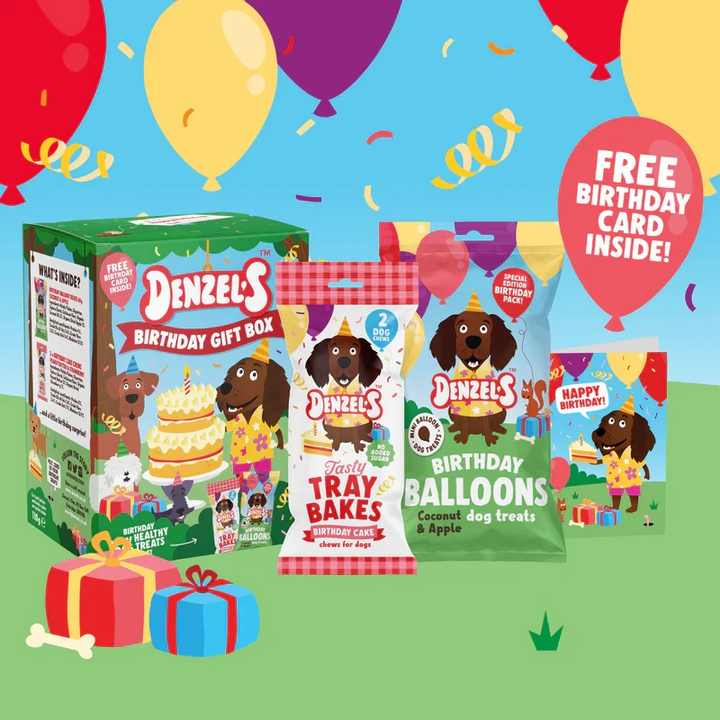 Denzels Birthday Gift Box For Dogs 110G