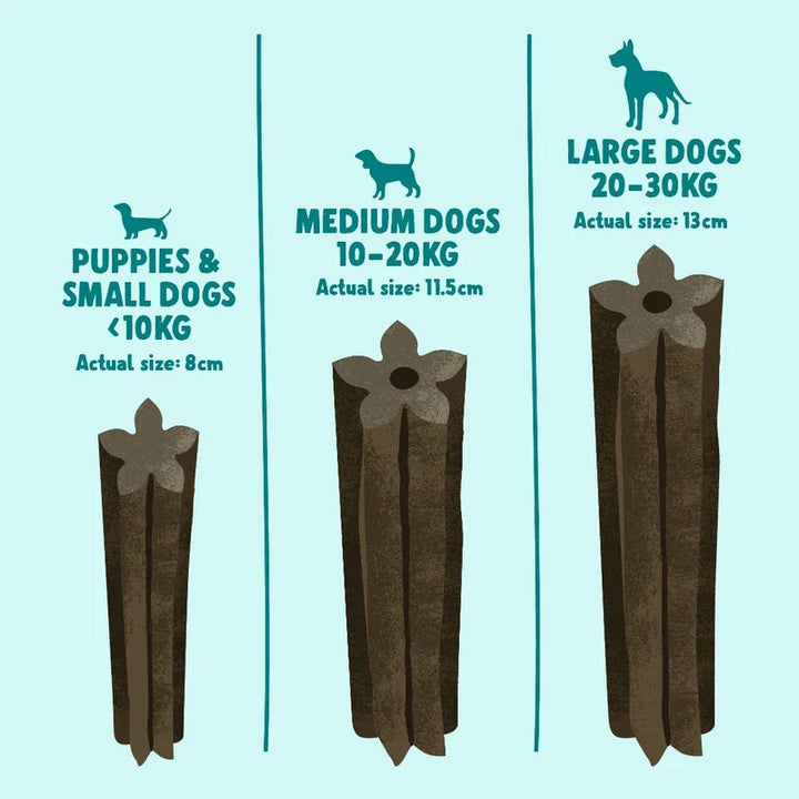 Denzels Daily Dentals Medium Dog Chicken &amp; Peppermint 100G