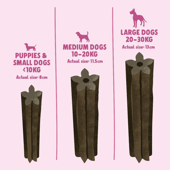 Denzels Daily Dentals Puppy Salmon & Spearmint 7Pk