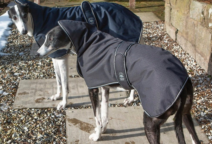 Animate Outhwaites Greyhound Waterproof Padded Coat Blue 51cm (20")