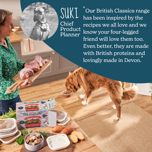 Forthglade Adult Dog British Classics Grain Free Variety 12 x 395g