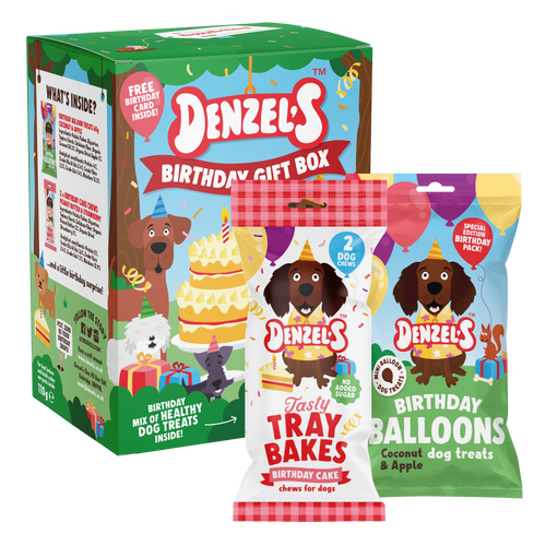 Denzels Birthday Gift Box For Dogs 110G