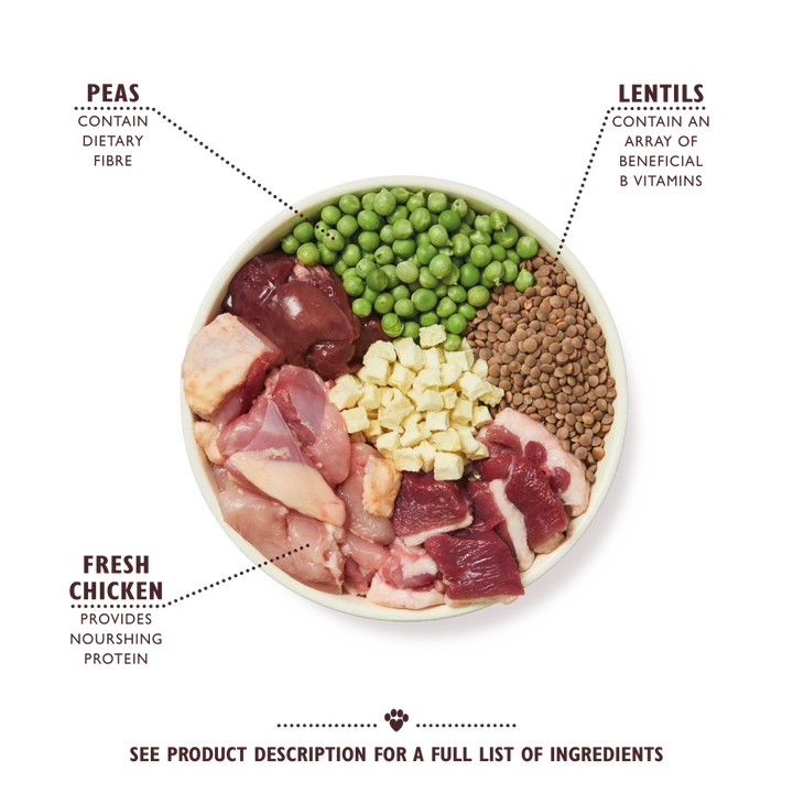 Lily's Kitchen Dog Chicken & Duck 12kg