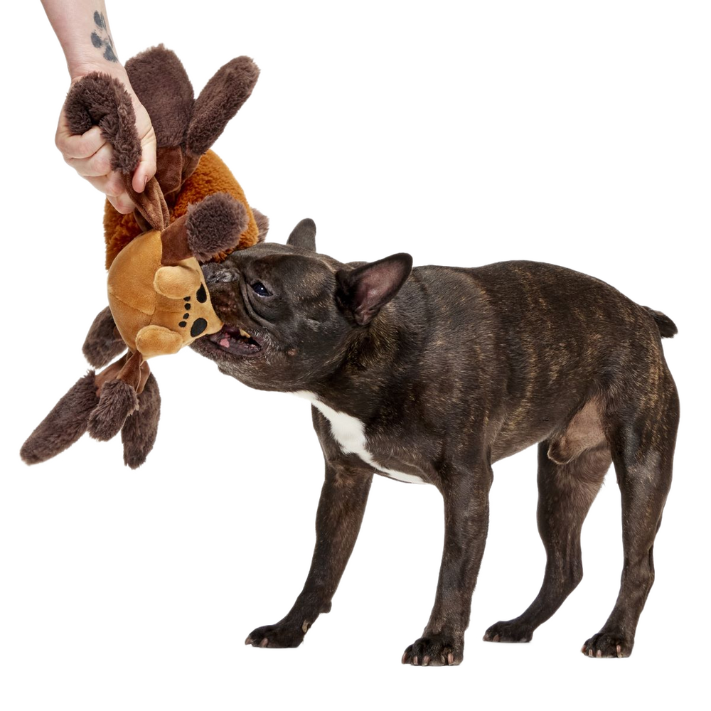 Bark Harry Potter Aragog