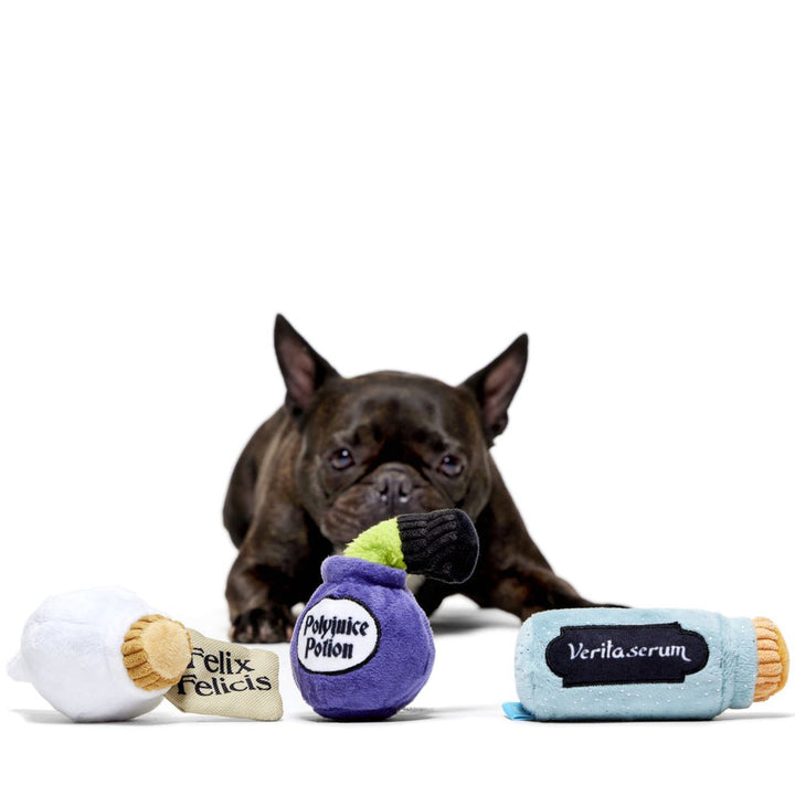 Bark Harry Potter Potions Pack Up