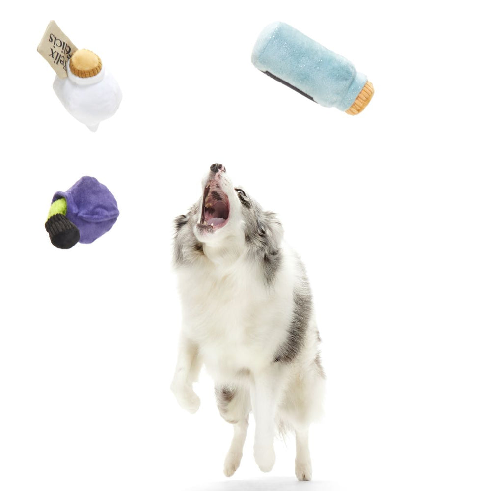 Bark Harry Potter Potions Pack Up