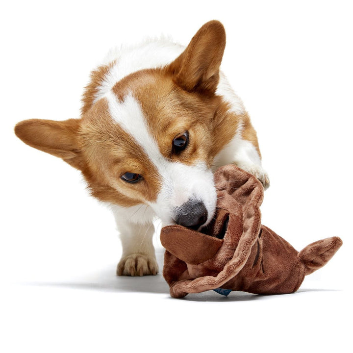 Bark Harry Potter Sorting Hat