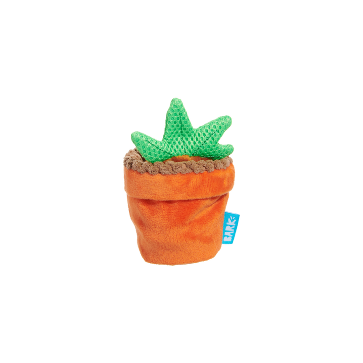 Bark Harry Potter Mandrake