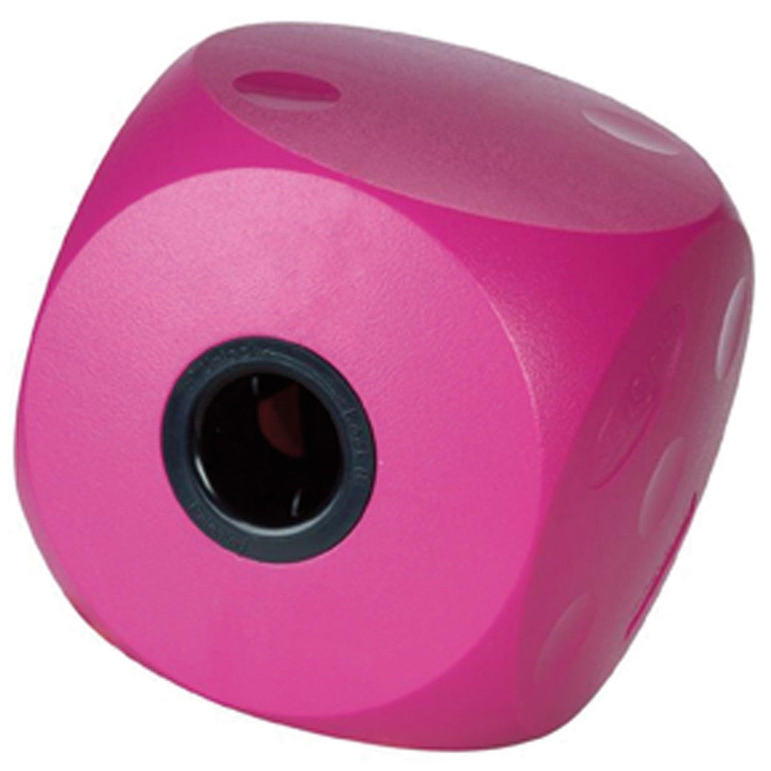 Buster Mini Cube Small Cherry Small