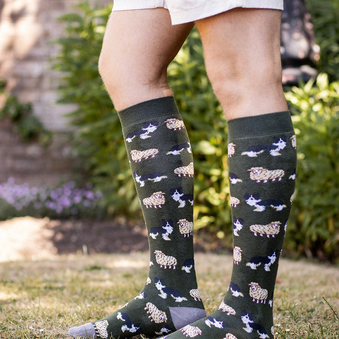 BARTLEBY FUNKY WELLY SOCKS MENS SHEEP & SHEEPDOG SIZE 6-11