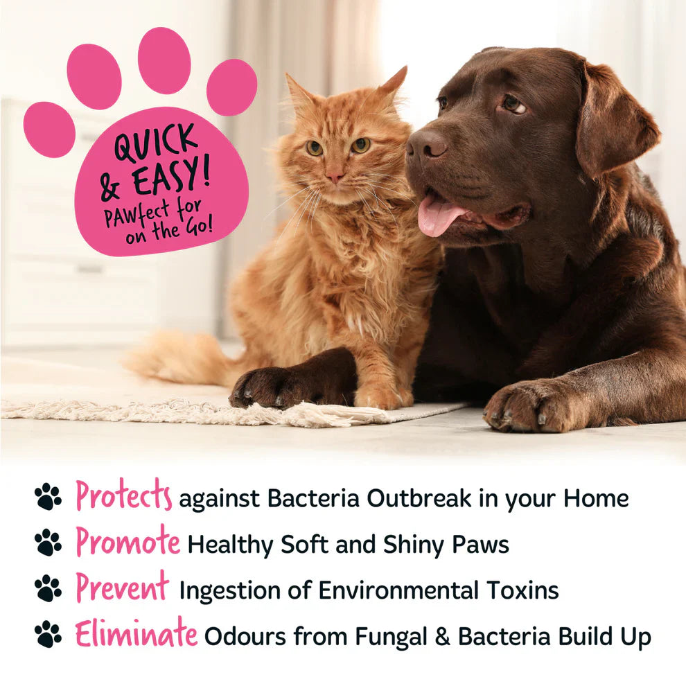 Bugalugs Baby Fresh No Rinse Paw Cleaner 200ml