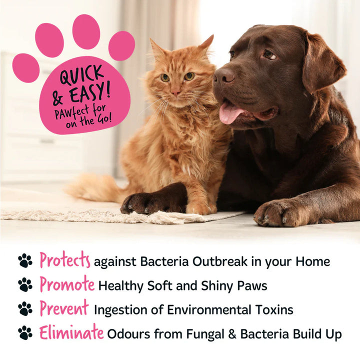 Bugalugs Baby Fresh No Rinse Paw Cleaner 200ml