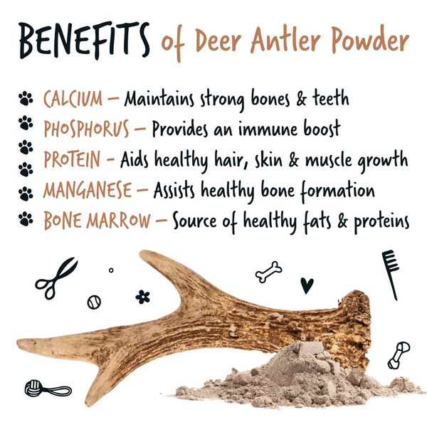 Bugalugs Deer Antler Supplement Powder 70g