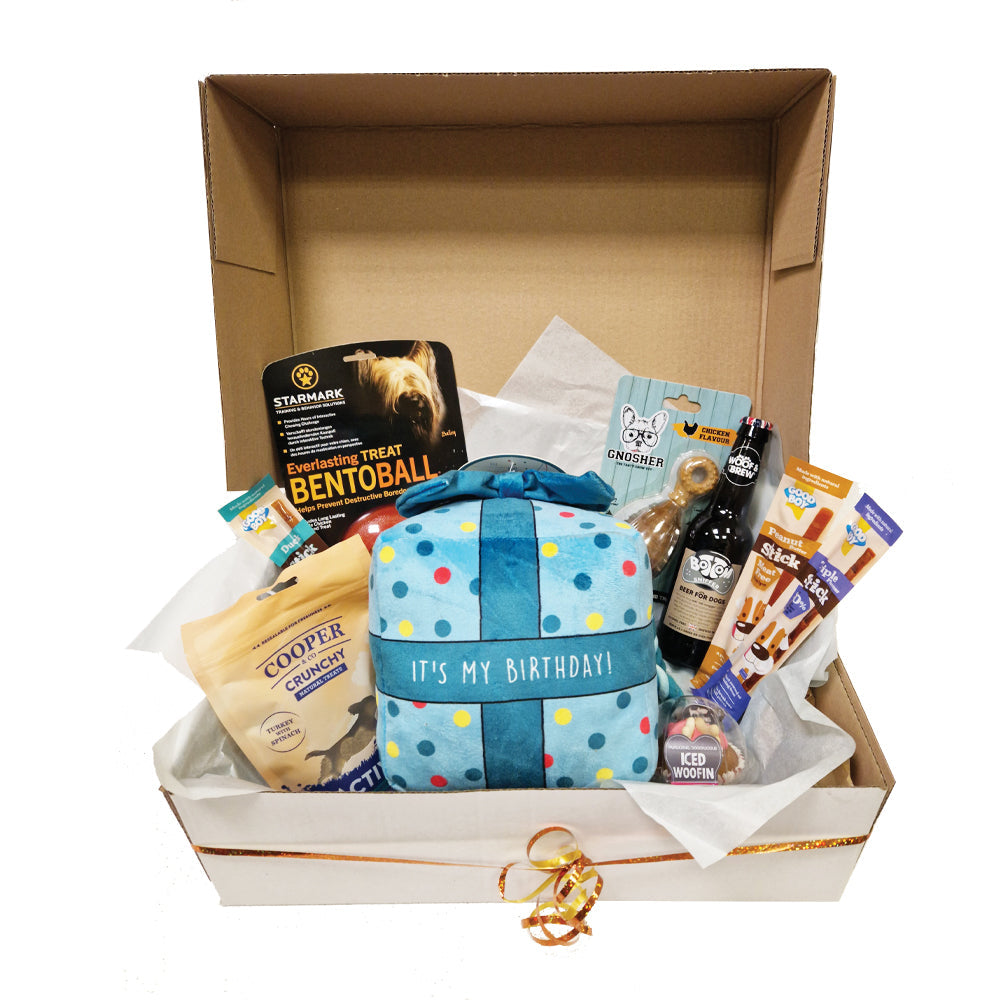 Birthday Hamper Box for Doggy Premium