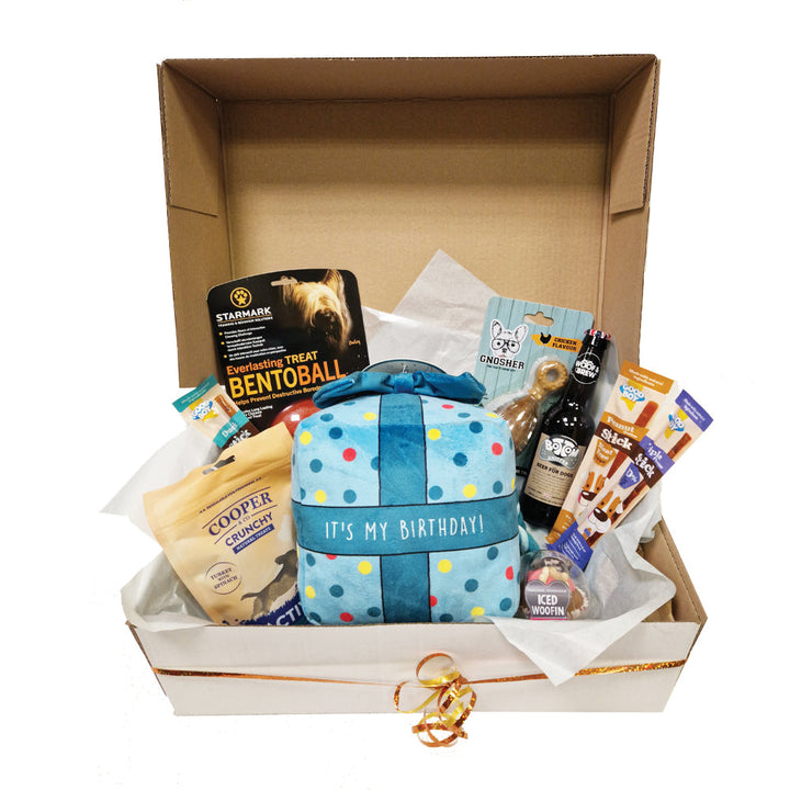 Birthday Hamper Box for Doggy Premium
