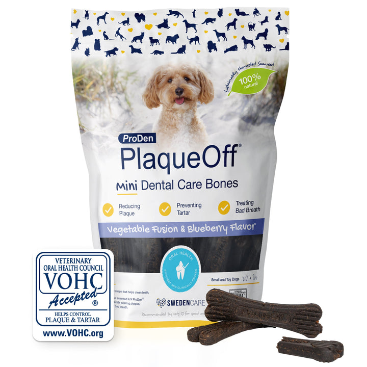 Proden Plaqueoff Mini Dental Care Bones Vegetable Fusion & Blueberry