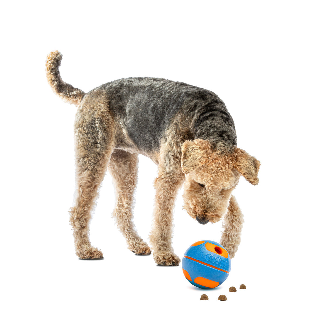 Guru Bobble Ball - Large