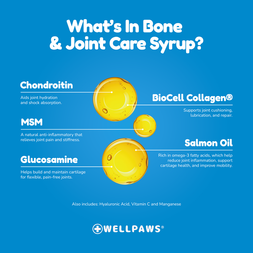 WellPaws Bone & Joint Care Syrup 300ml