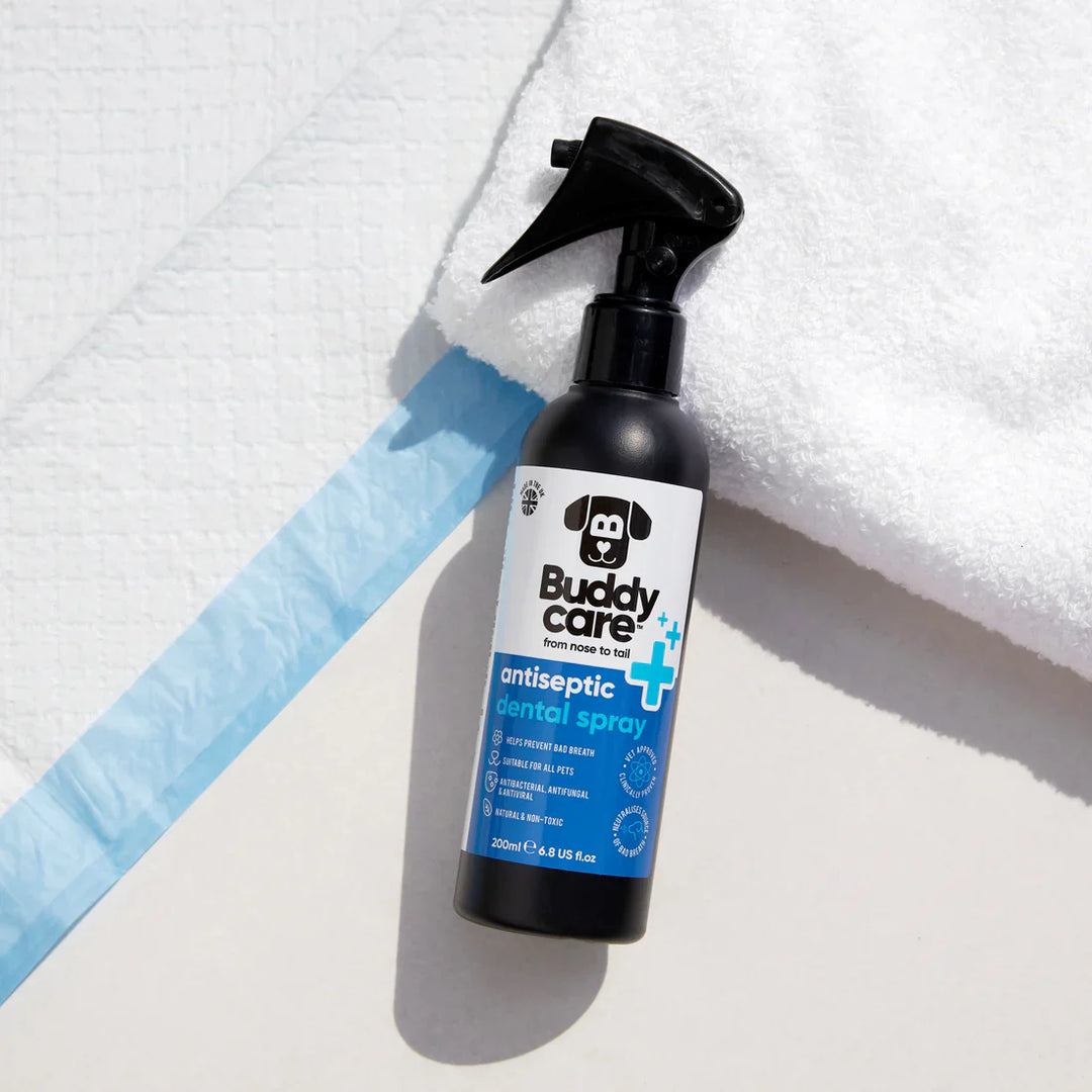 Buddycare Pet Antiseptic Dental Spray 200ml