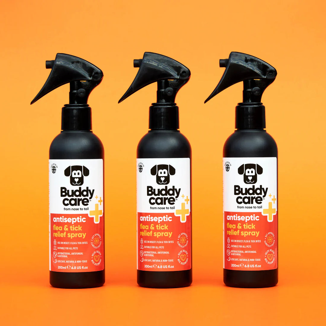 Buddycare Pet Antiseptic Flea & Tick Relief Spray 200ml