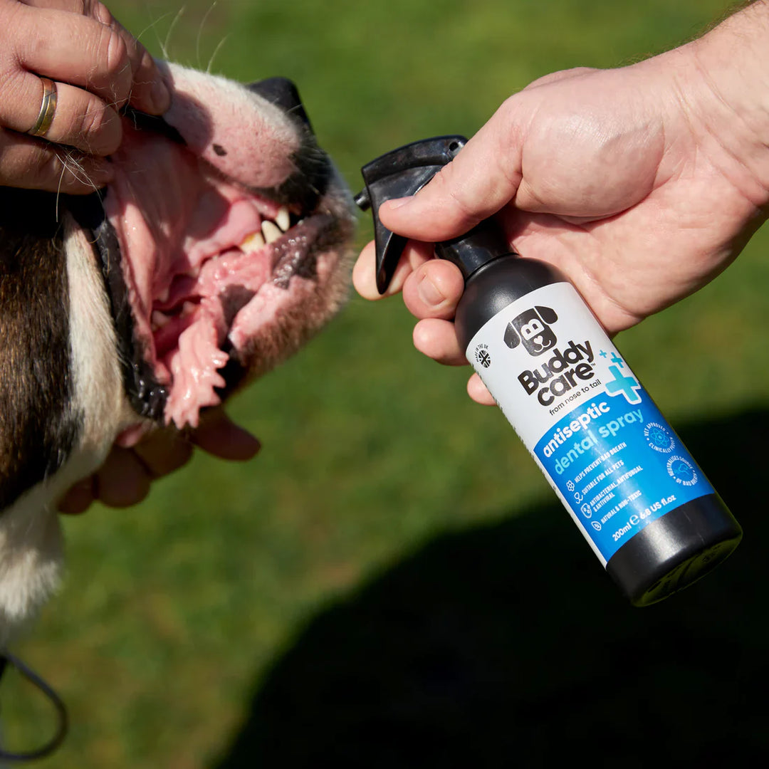 Buddycare Pet Antiseptic Dental Spray 200ml