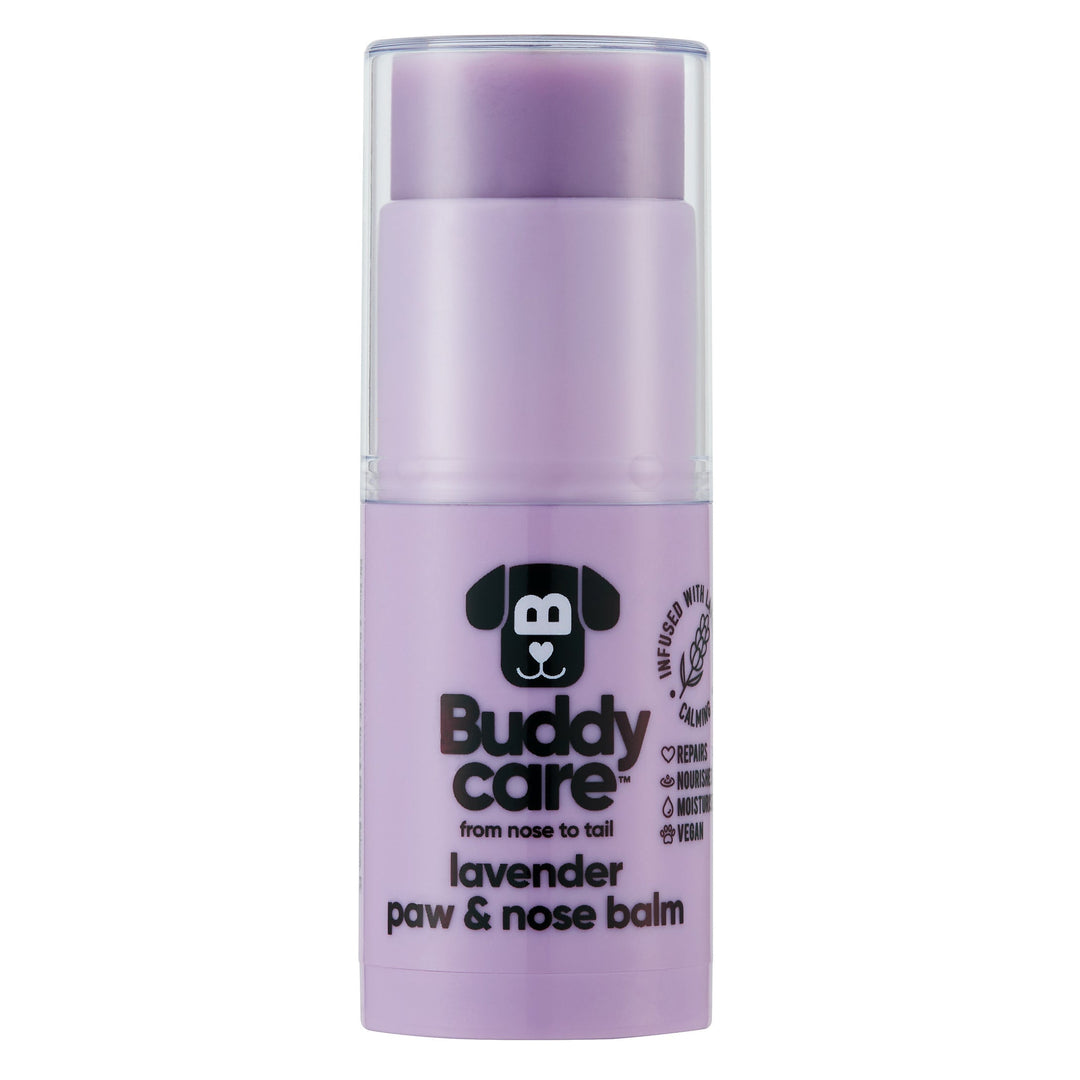 Buddycare Paw & Nose Balm Lavender 21gm
