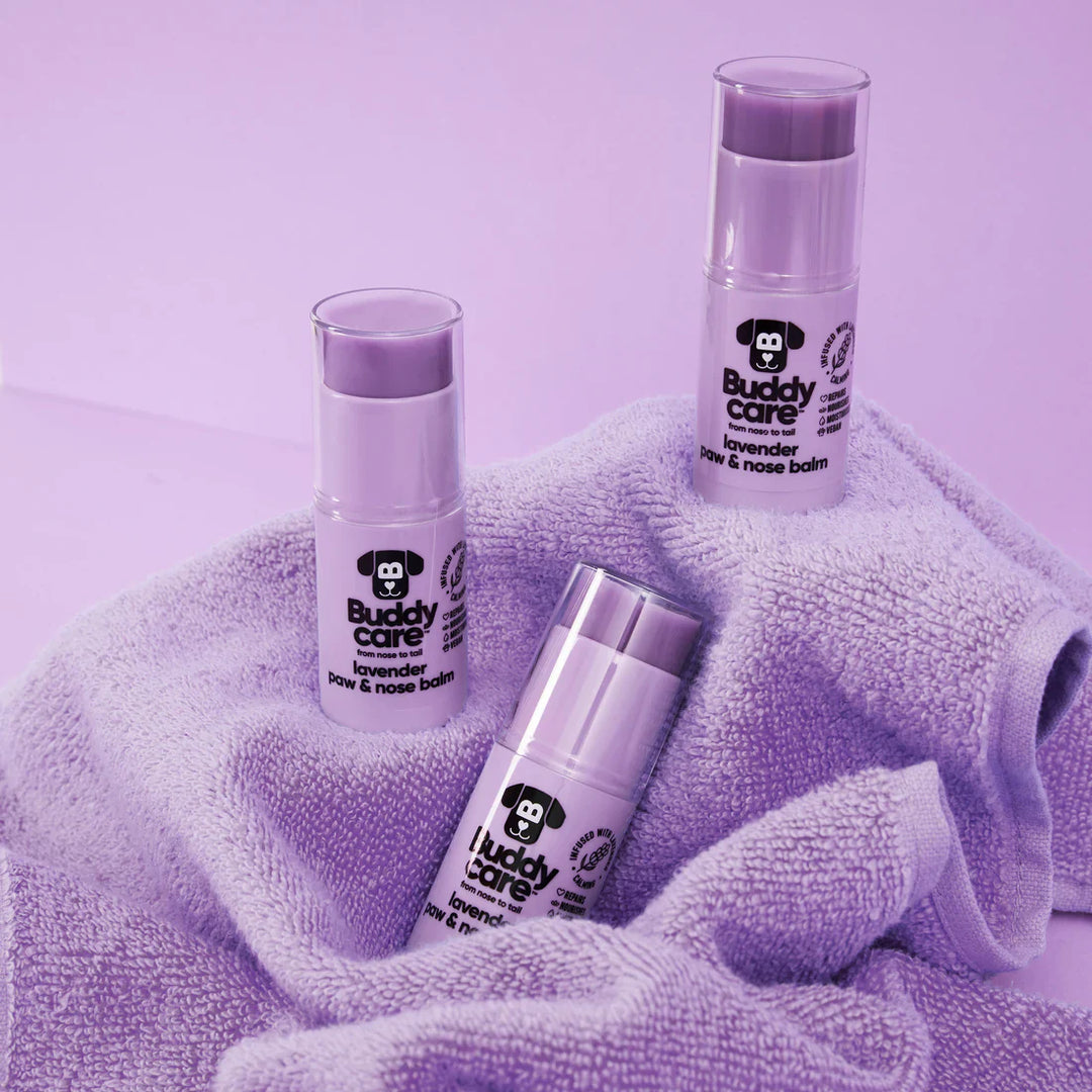 Buddycare Paw & Nose Balm Lavender 21gm