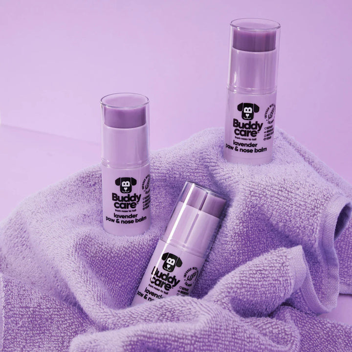Buddycare Paw & Nose Balm Lavender 21gm