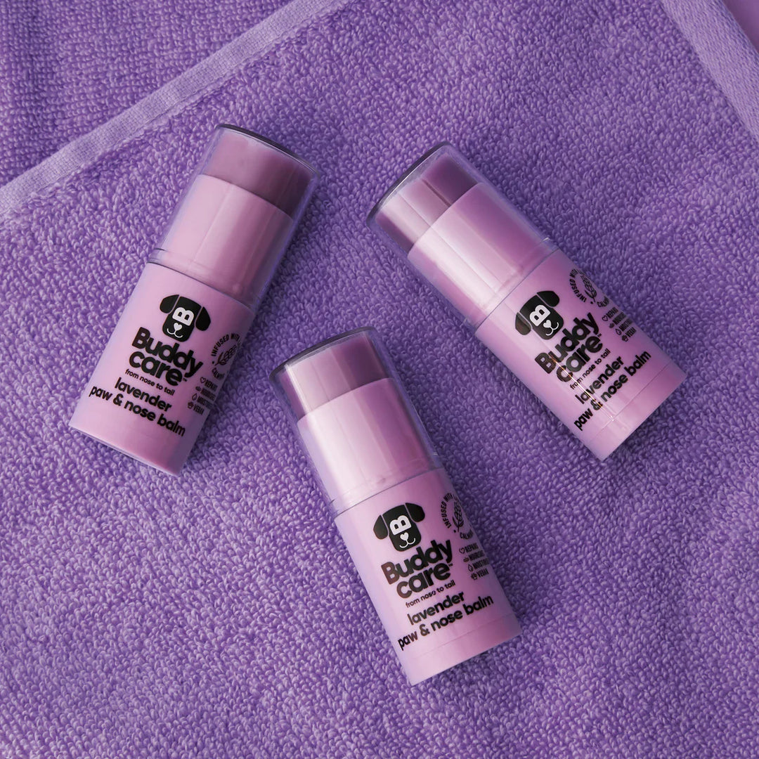 Buddycare Paw & Nose Balm Lavender 21gm