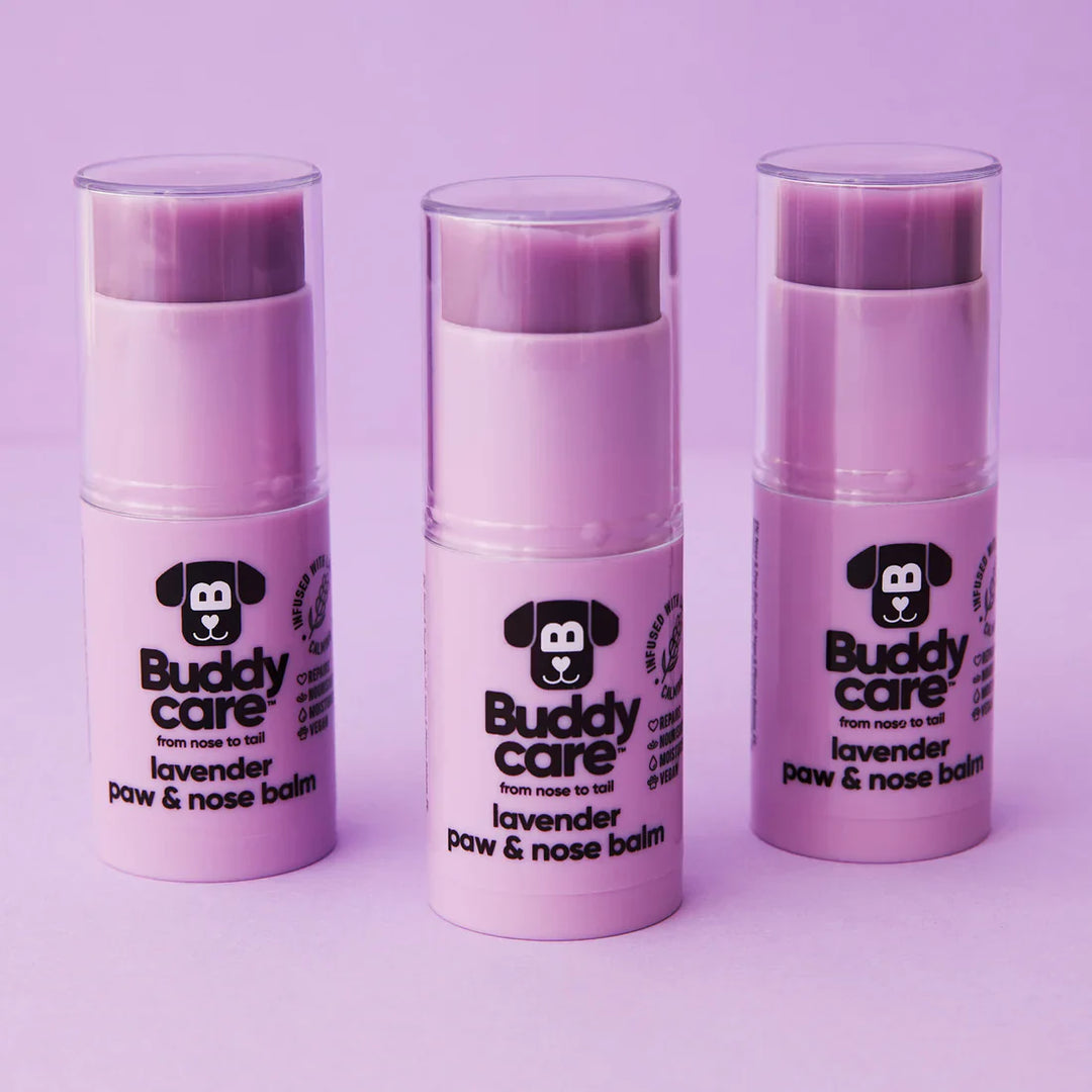 Buddycare Paw & Nose Balm Lavender 21gm