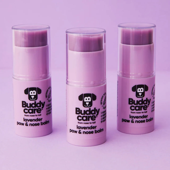 Buddycare Paw & Nose Balm Lavender 21gm