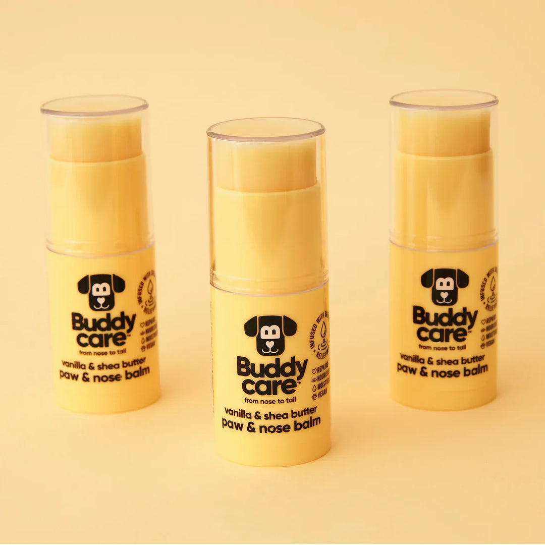 Buddycare Paw & Nose Balm Vanilla & Shea Butter 21gm