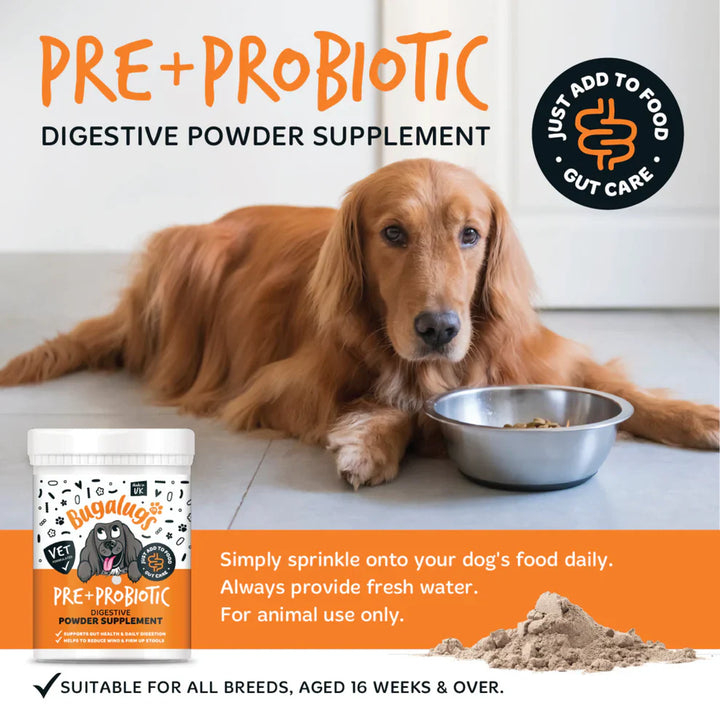 Bugalugs Pre & Probiotic Digestive Powder 200G