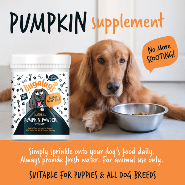 Bugalugs Natural Pumpkin Supplement Powder 200g