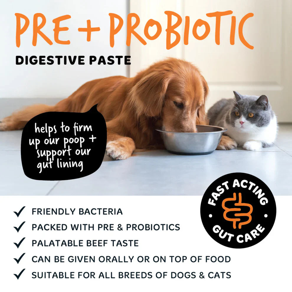 Bugalugs Digestive Pre-Probiotic Paste