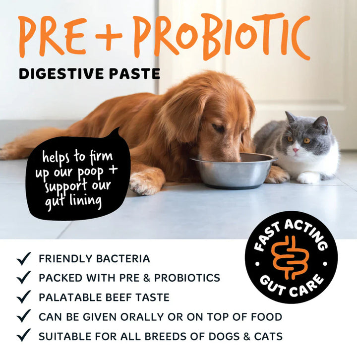 Bugalugs Digestive Pre-Probiotic Paste