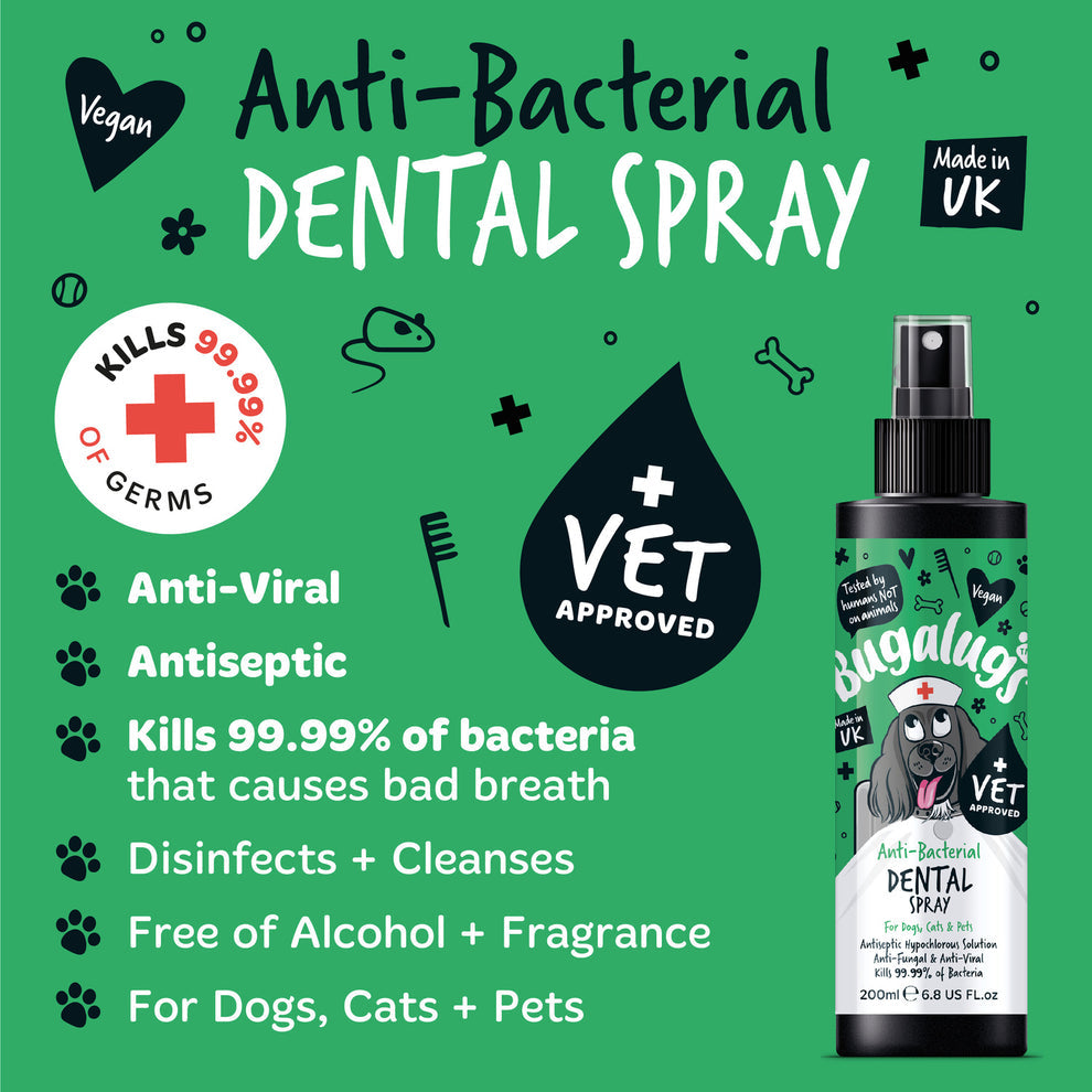 BUGALUGS ANTI-BACTERIAL DENTAL SPRAY 200ML