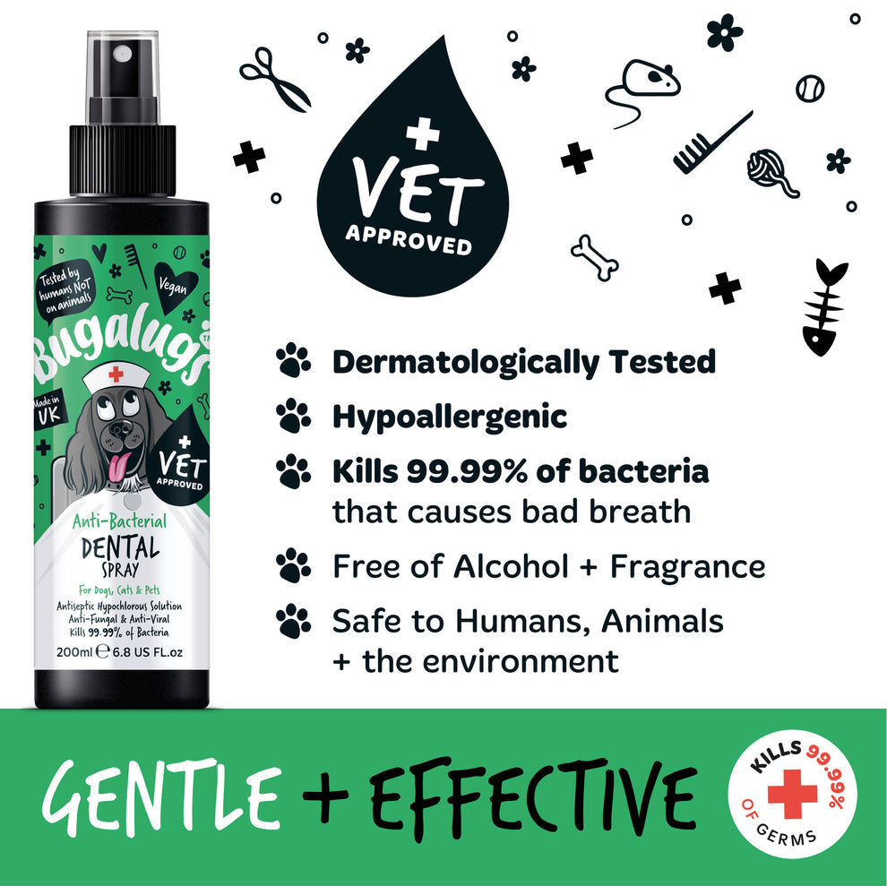 BUGALUGS ANTI-BACTERIAL DENTAL SPRAY 200ML