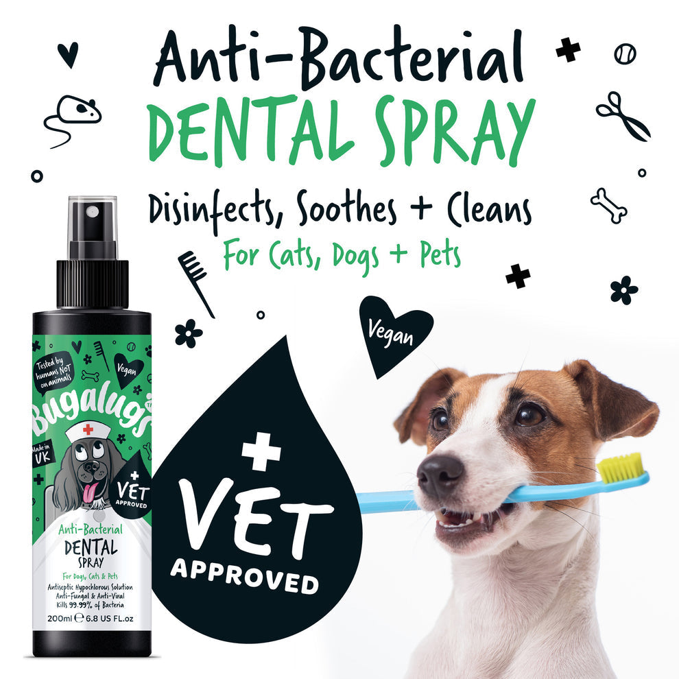 BUGALUGS ANTI-BACTERIAL DENTAL SPRAY 200ML