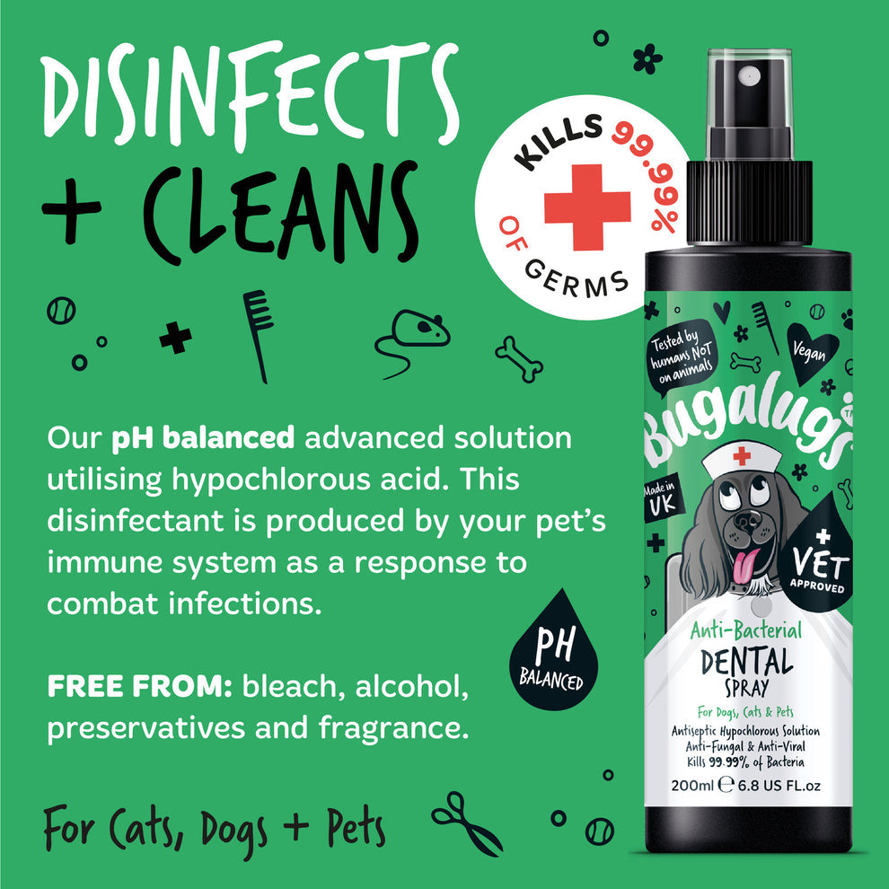BUGALUGS ANTI-BACTERIAL DENTAL SPRAY 200ML