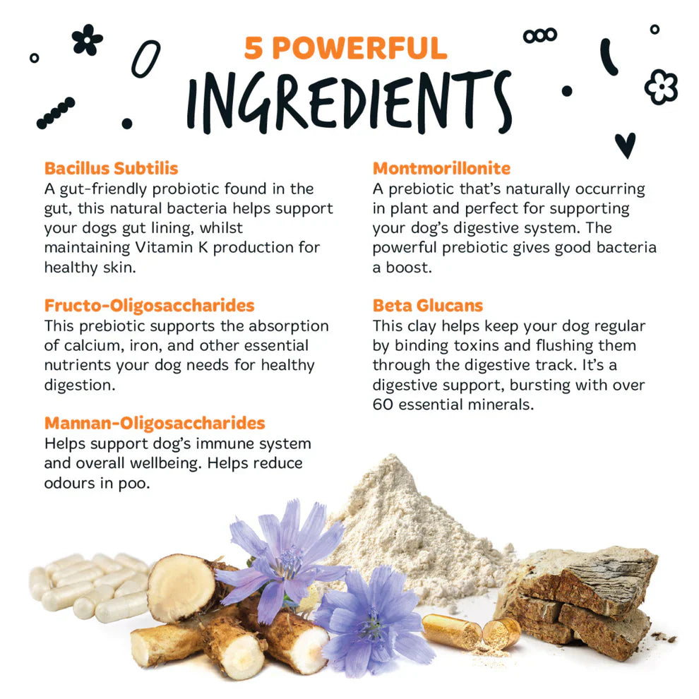 Bugalugs Pre & Probiotic Digestive Powder 200G