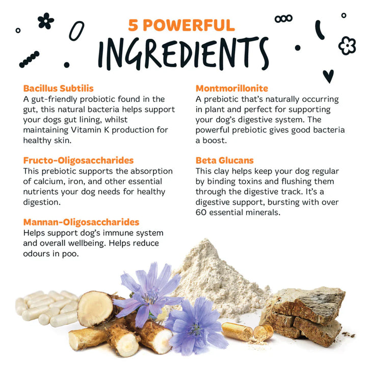 Bugalugs Pre & Probiotic Digestive Powder 200G