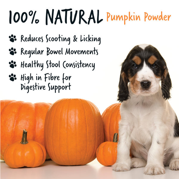 Bugalugs Natural Pumpkin Supplement Powder 200g