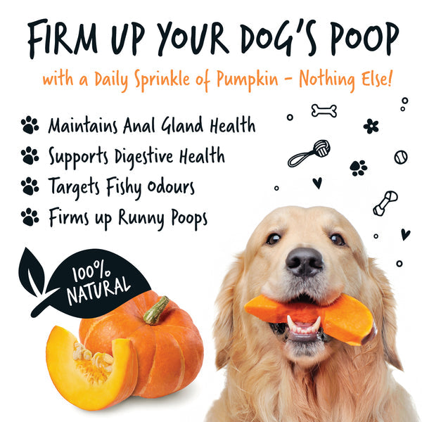 Bugalugs Natural Pumpkin Supplement Powder 200g