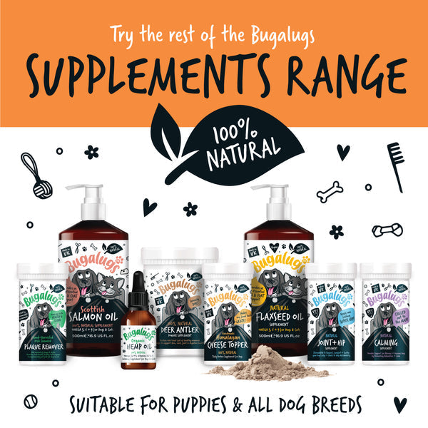 Bugalugs Natural Pumpkin Supplement Powder 200g