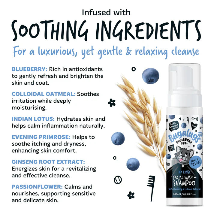 Bugalugs Blueberry Spa No Rinse Facial Wash Shampoo For Cats 200ml